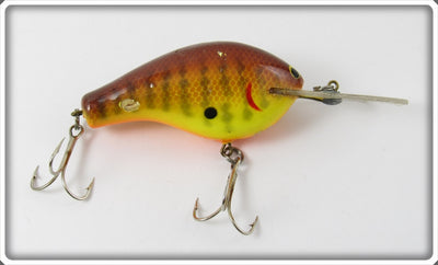 Bagley Dark Crayfish On Chartreuse DB2 Divin' B2