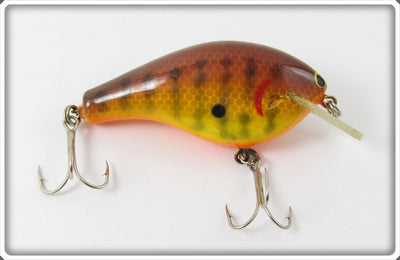 Bagley Dark Crayfish On Chartreuse Kill'R B