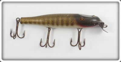 Creek Chub Pikie Scale Pikie