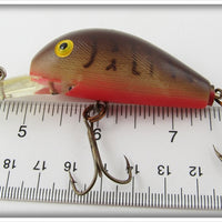 Rebel Brown Crawdad Super R