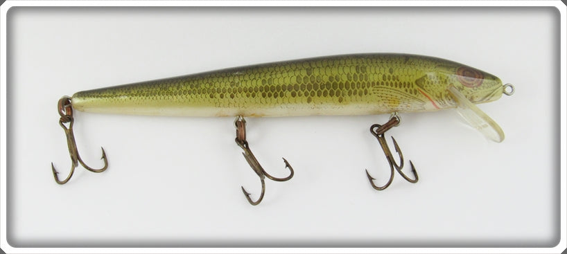 Vintage Rebel Natural Bass Minnow Lure