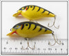 Cordell Yellow With Black Stripes Big O Pair
