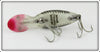 Heddon Silver Shore Tadpolly Spook In Box