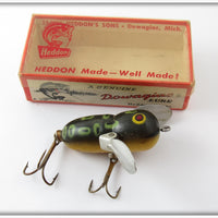 Vintage Heddon Bullfrog Tiny Crazy Crawler Lure In Box For Sale