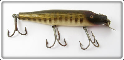 Creek Chub Pikie Scale Husky Pikie