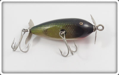 Creek Chub Perch Spinning Injured Minnow