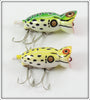 Arbogast Swamp Frog & Leopard Frog Hula Popper Pair