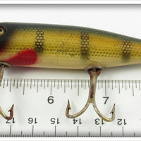 Creek Chub Perch Pikie