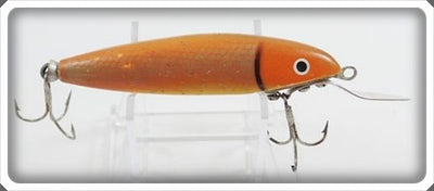 Cisco Kid Orange Scale/Goldfish