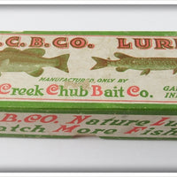 Creek Chub Empty Box For Perch Scale Jointed Snook Pikie
