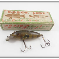 CCBC Early Perch Finish Baby Wiggler In Unmarked Box