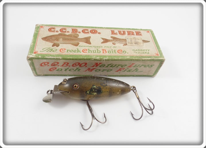 CCBC Early Perch Finish Baby Wiggler In Unmarked Box