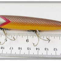 Paw Paw Silver Scale Aristocrat Torpedo