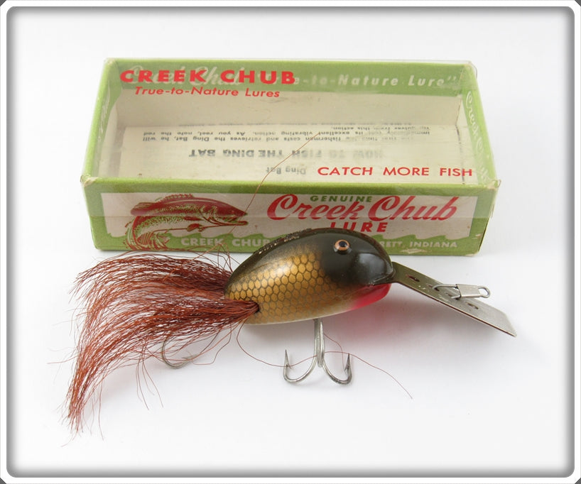Vintage Creek Chub Pikie Scale Plastic Dingbat Lure In Box