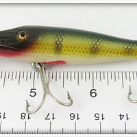 Creek Chub Perch Midget Pikie