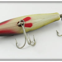 Creek Chub Perch Midget Pikie