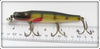 Creek Chub Perch Pikie
