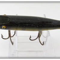 Creek Chub Perch Pikie