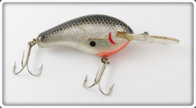 Vintage Bagley Black On Silver Chrome Divin' B Lure