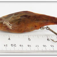 The Actual Lure Co Real Minnow In Tube