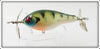 Contemporary Bluegill Spinnered Minnow