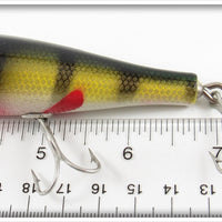 Creek Chub Perch Plunker