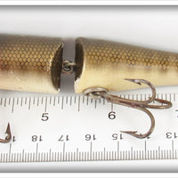 Creek Chub Pikie Scale Jointed Pikie