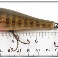 Creek Chub Pikie Scale Plunker