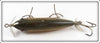 Creek Chub Redside Injured Minnow