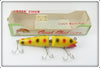 Vintage Creek Chub Yellow Spotted Jointed Darter Lure In Box