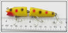 Creek Chub Yellow Spotted Jointed Darter In Box