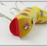 Creek Chub Yellow Spotted Jointed Darter In Box