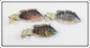 Unknown Lot Of Three Jointed Natural Punkinseed/Crappie Lures