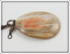 Unknown Shell Spinner Lure