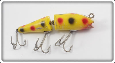 Creek Chub Yellow Spotted Jointed Darter