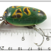 Millsite Frog Spot Rattle Bug