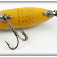 Heddon Golden Shiner River Runt Spook Sinker