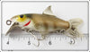 Naturalure Bait Co Gold Perch Strikee Floater In Box