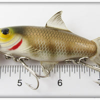 Naturalure Bait Co Gold Perch Strikee Floater In Box