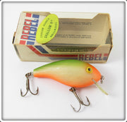 Rebel Bone Orange Belly Green Back Shallow R In Box