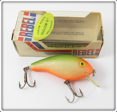 Rebel Bone Orange Belly Green Back Shallow R In Box