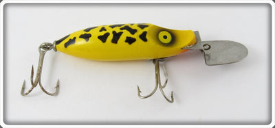 Shakespeare Paw Paw Yellow Coach Dog Deeper Dan