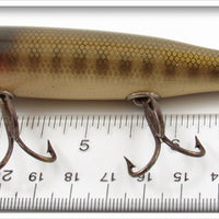 Creek Chub Pikie Scale Pikie