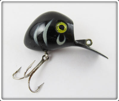 Cooper Black Tiger Ubangi