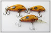 Rebel Joe Camel Lot Of Three