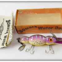 Bomber Bait Co Purple Back Yellow Belly Silver Sparkle Water Dog In Correct Box 1571