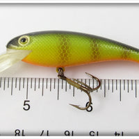 Cordell Perch Xtra Deep