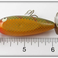 Unknown Perch Injured Minnow Type