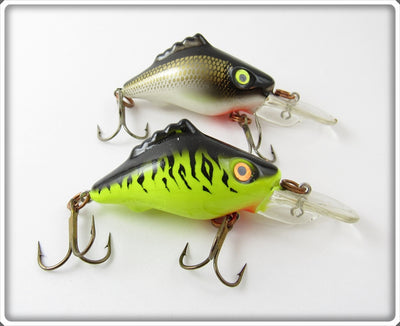 Mann's Chartreuse Tiger & Gold Scale Razorback Piglet Pair