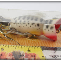 Arbogast Black Coachdog Hula Popper On Card